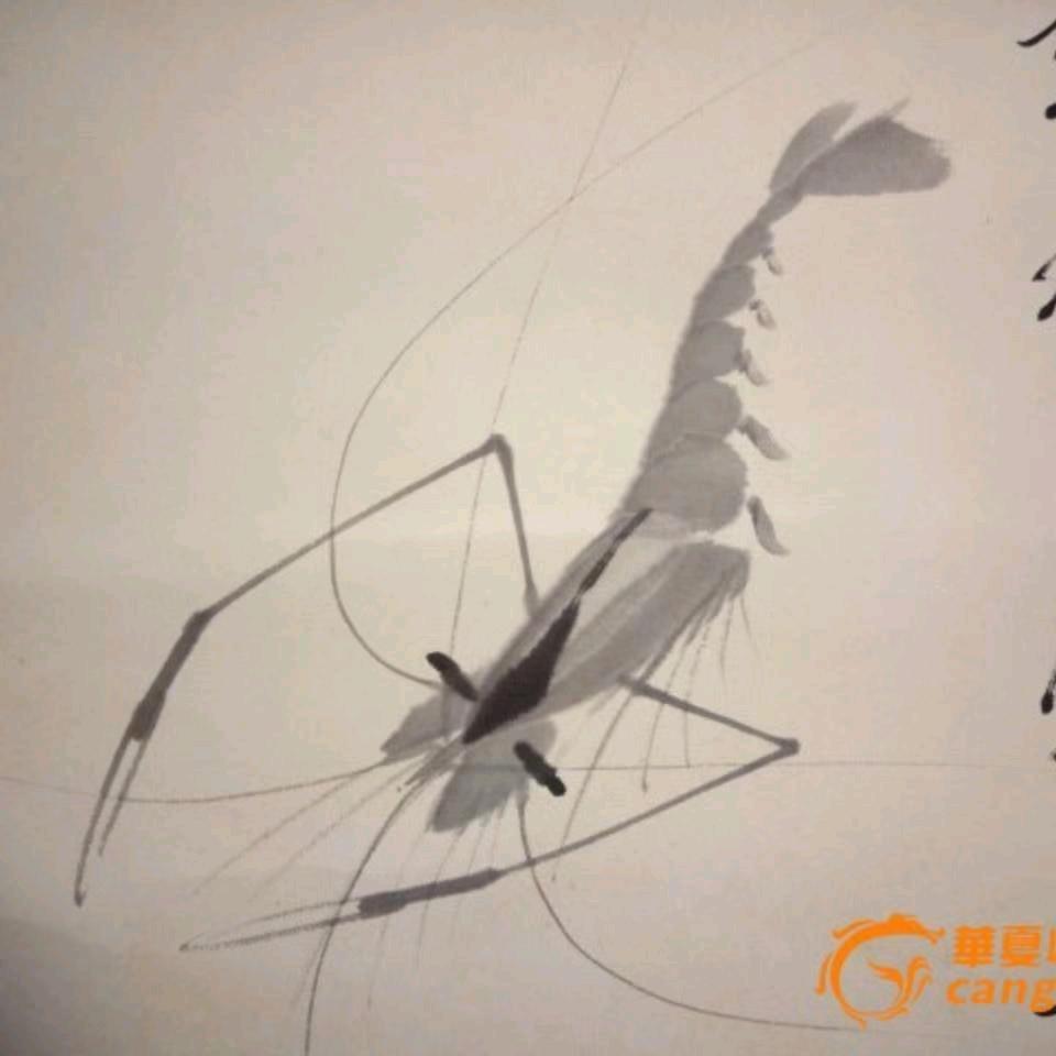 桐江戏虾