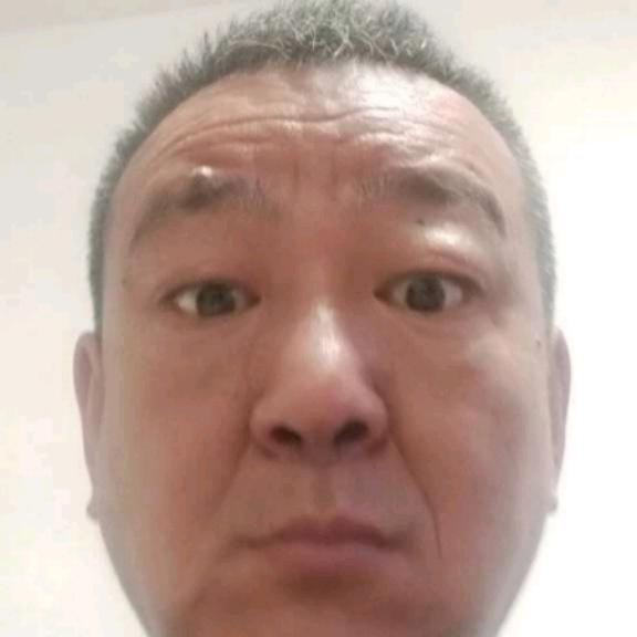 8699513011
