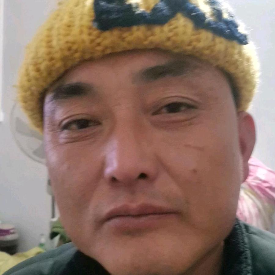 风流太子熊称意