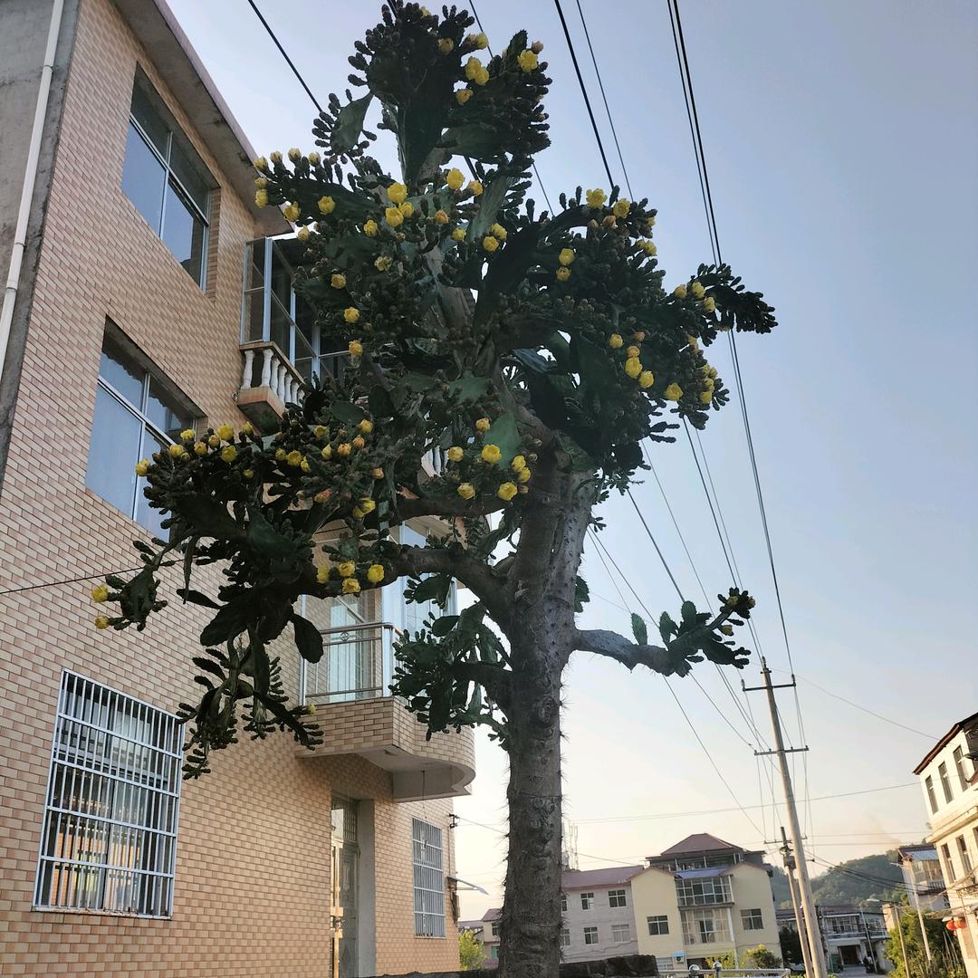 低调的人