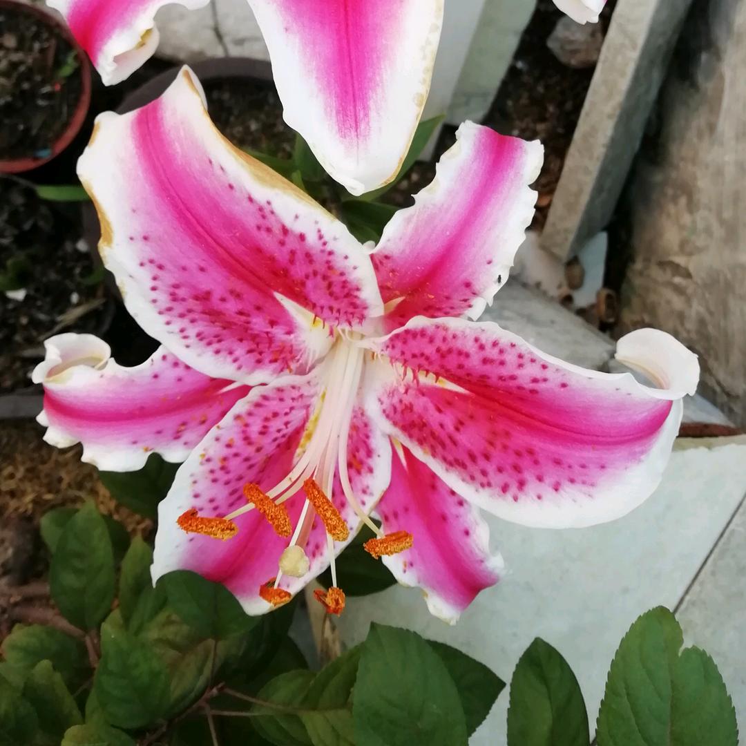 阳光🧚‍♀️