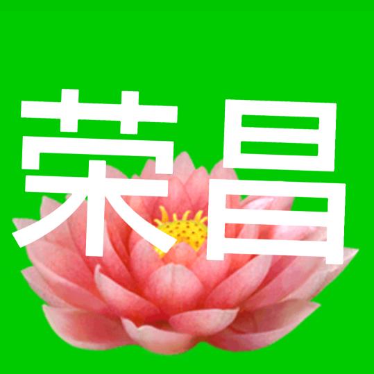 十一