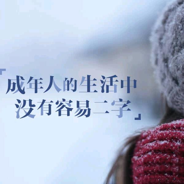 真   善   美