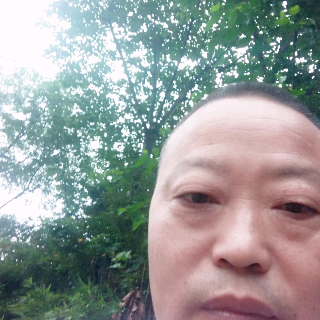 茜草老字号网红鱼蛋官方号