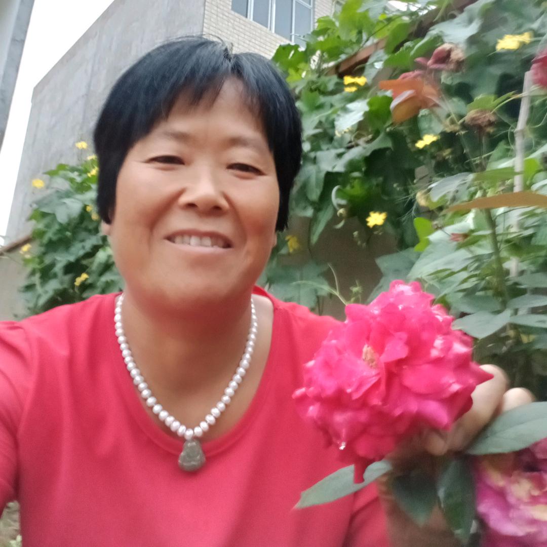 谁能谅解我…