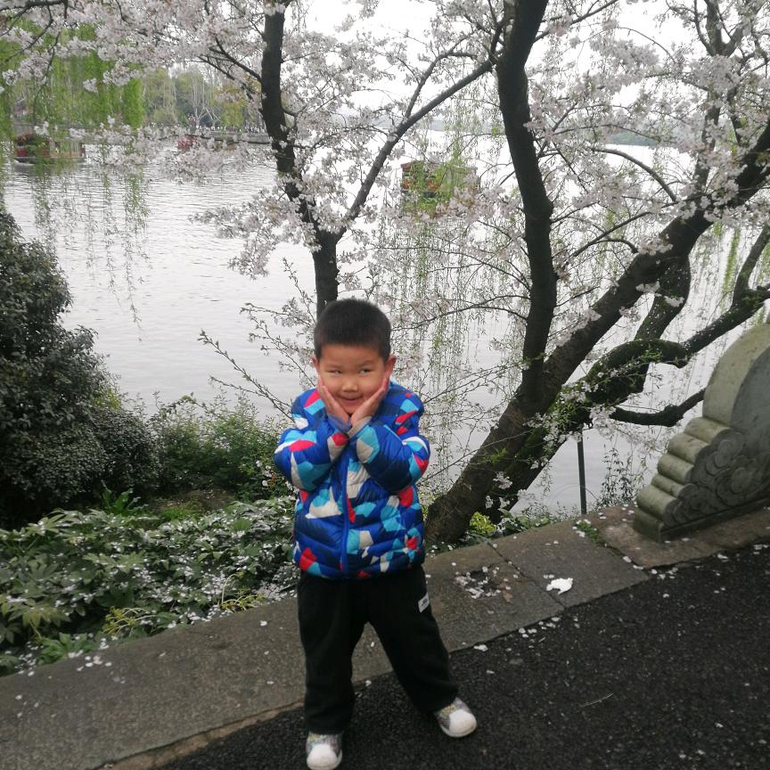 花与书