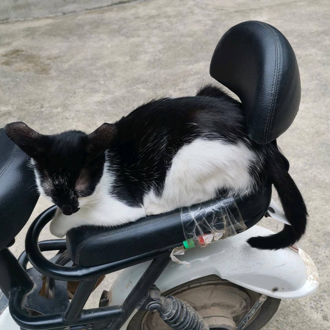 站在马路边上看风景