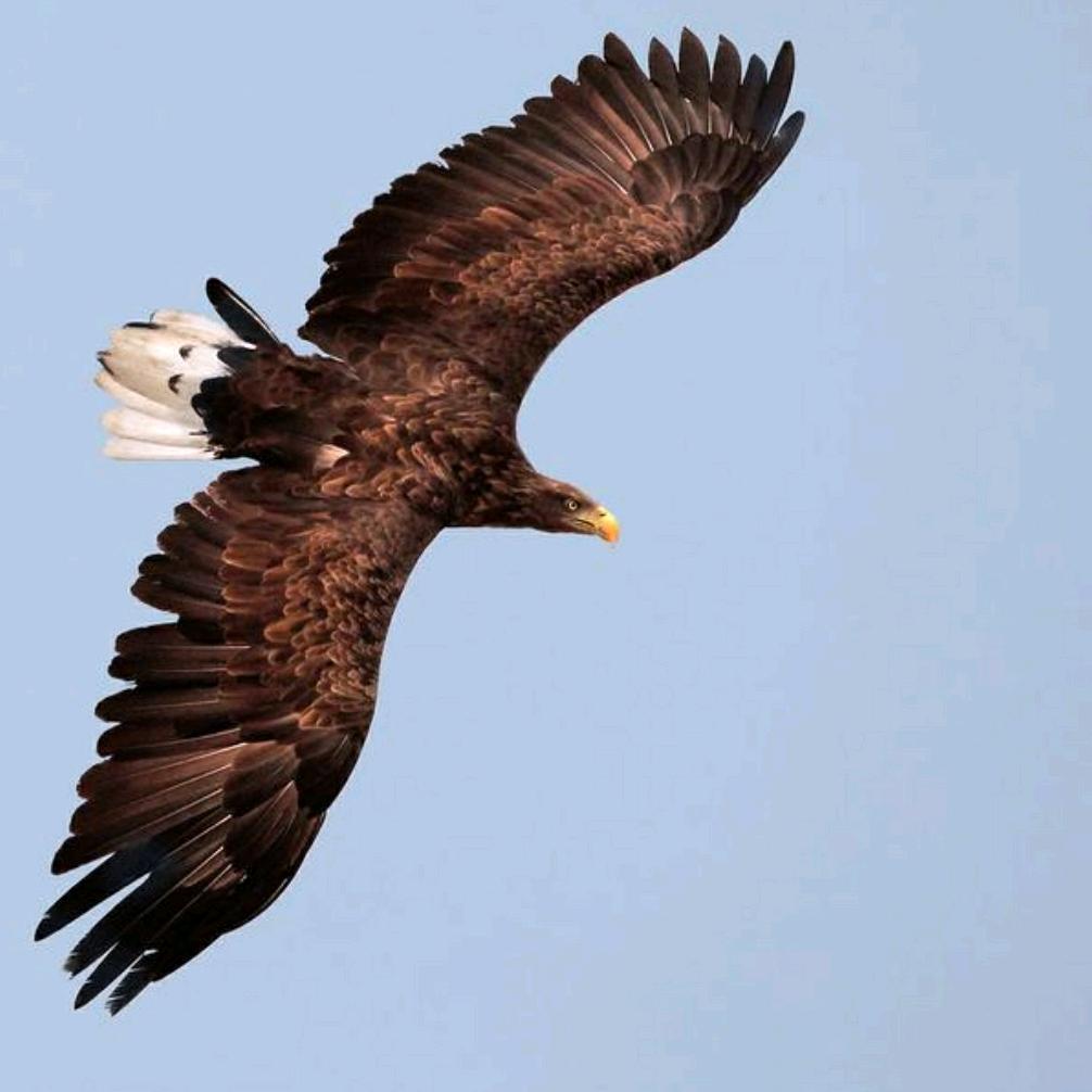 钢结构彩钢瓦制作