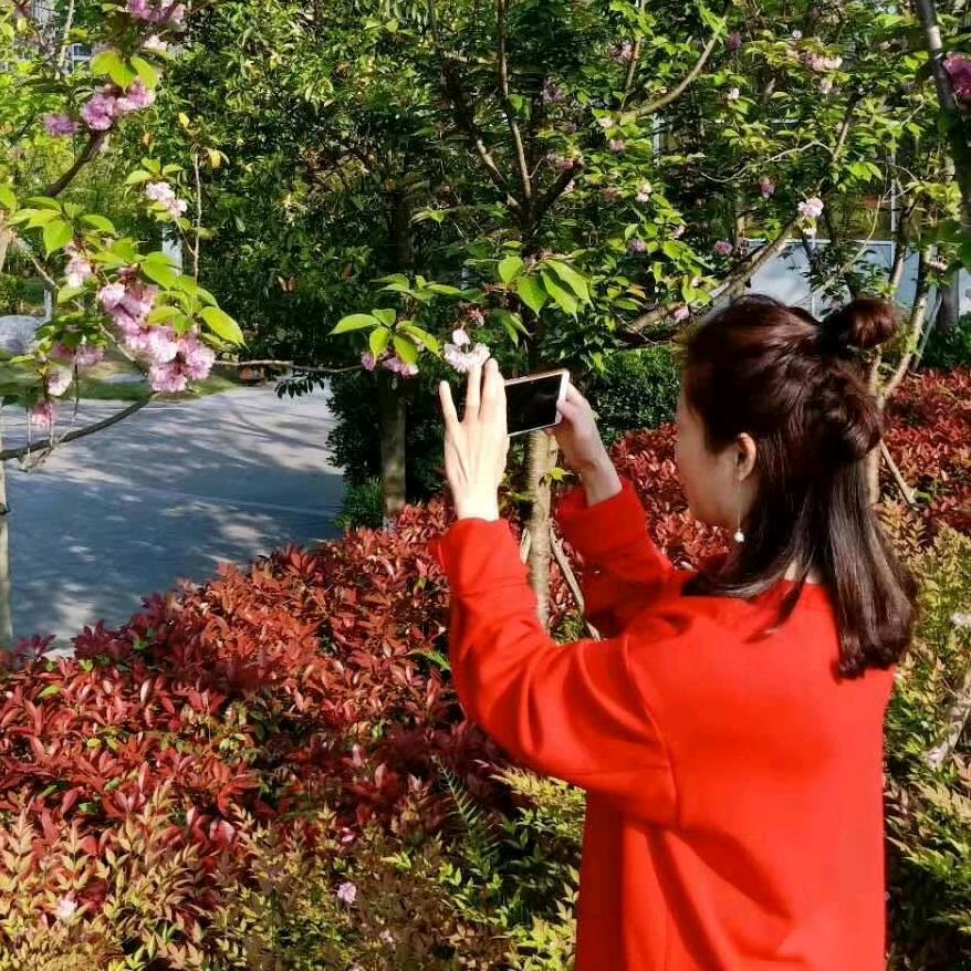 射洪李好