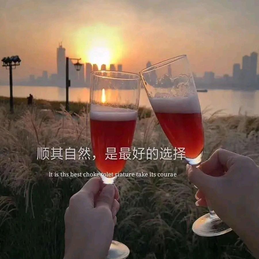 飞不起来的龙