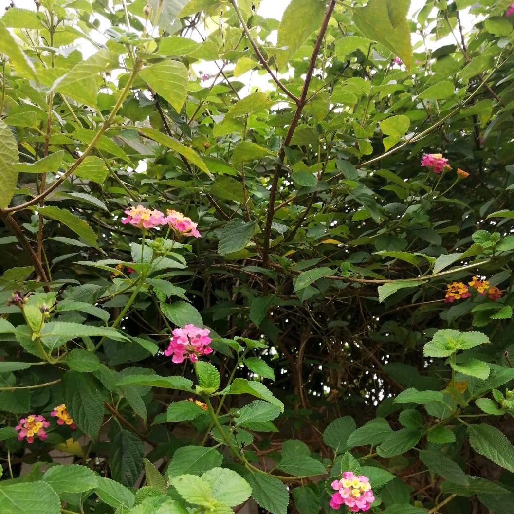 你是我的……