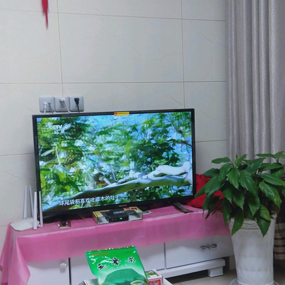 用户21812912头像