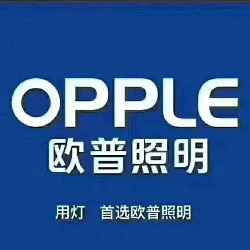 欧普照明(九龙店)