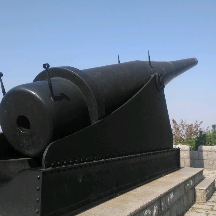 无情岁月有情人