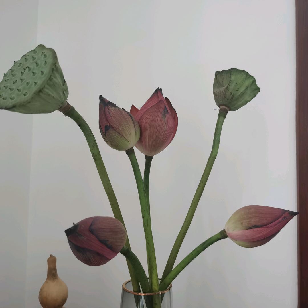 大婷～