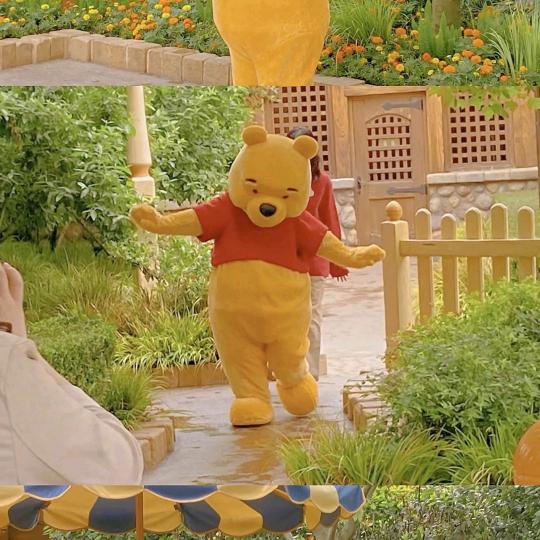 逆风的扑棱蛾子