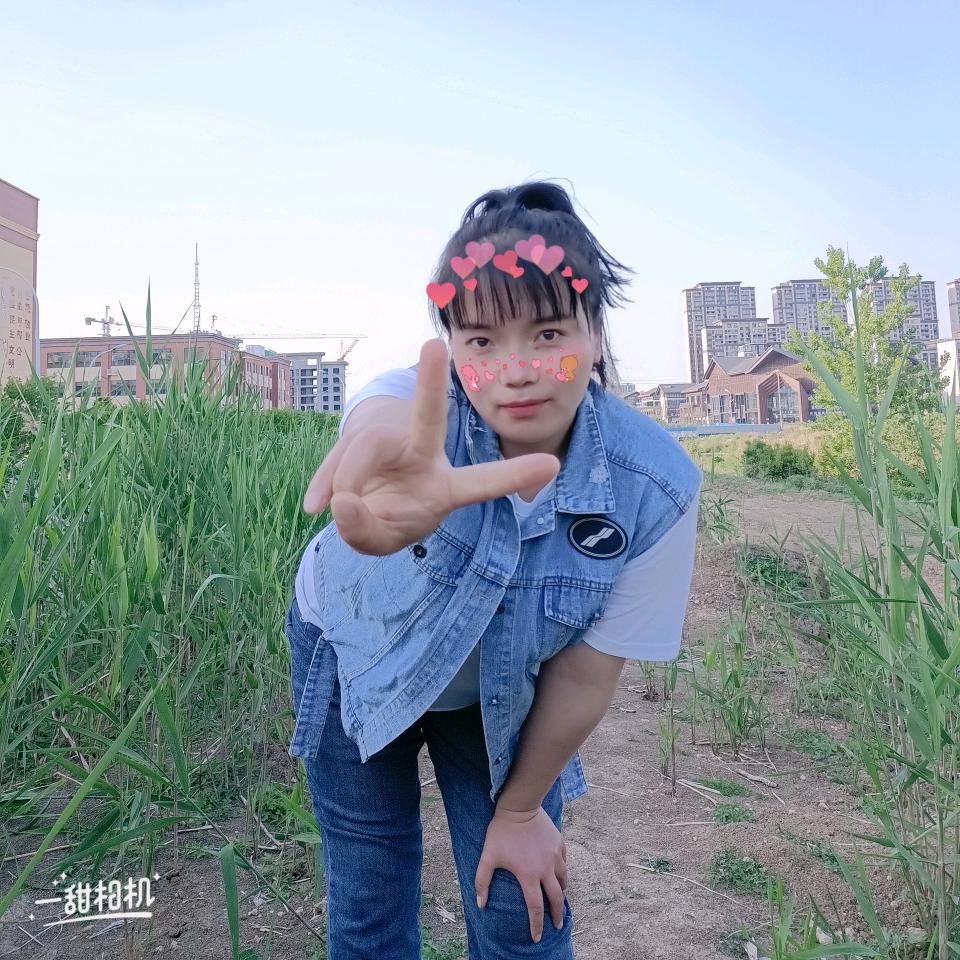 杨楠/利辛系统窗保洁纱窗美缝