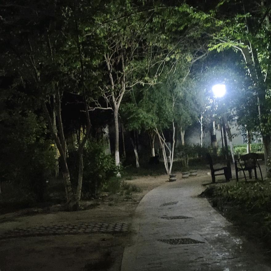 无名小路