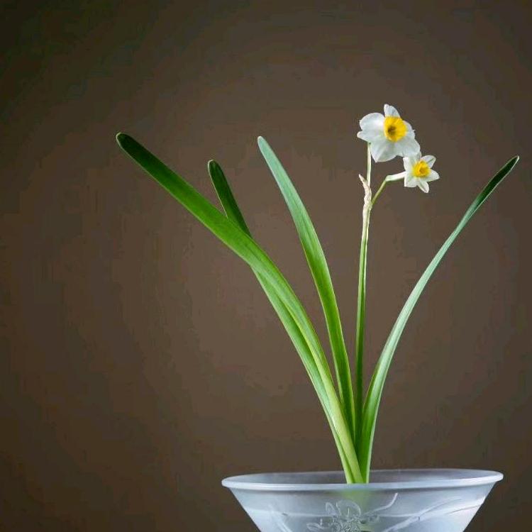 用户G4435855126256