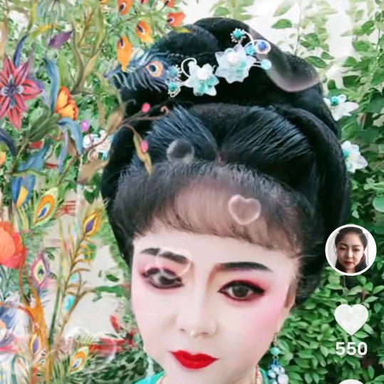 庐剧赵琼