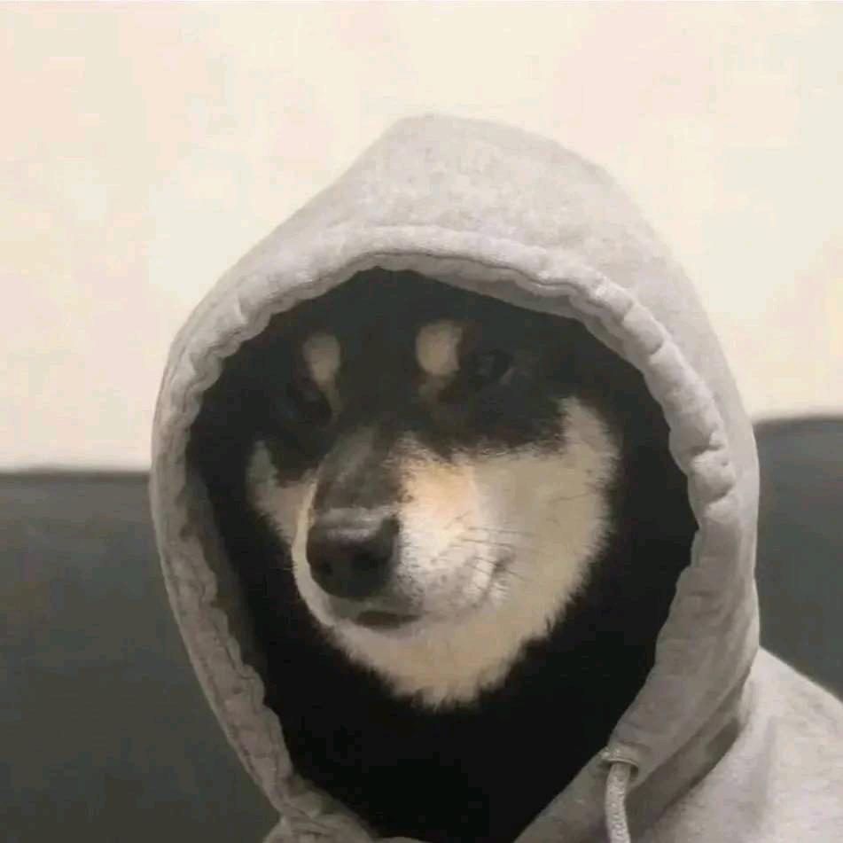 是泽不是zhe