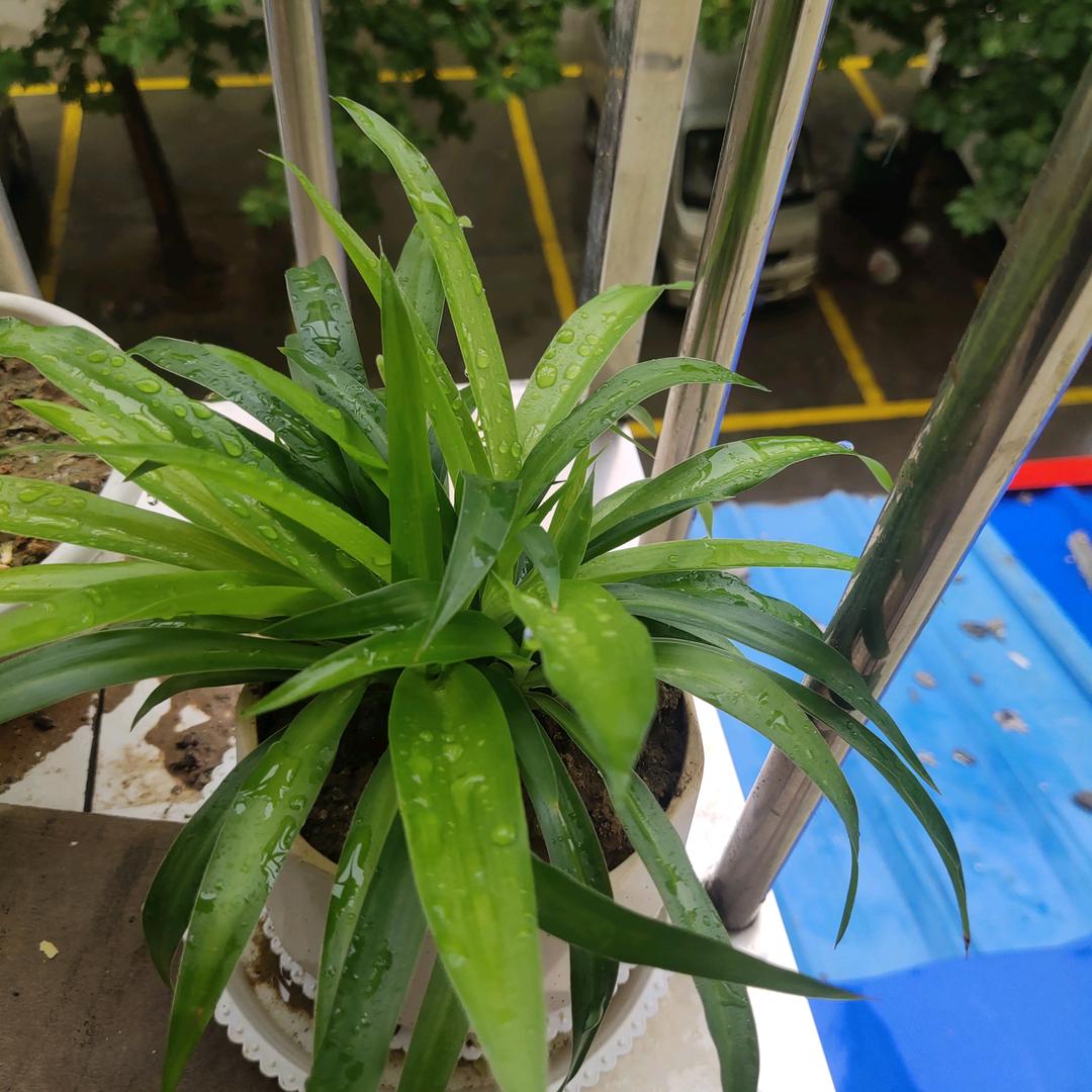 用户从零开始（一个人生活）