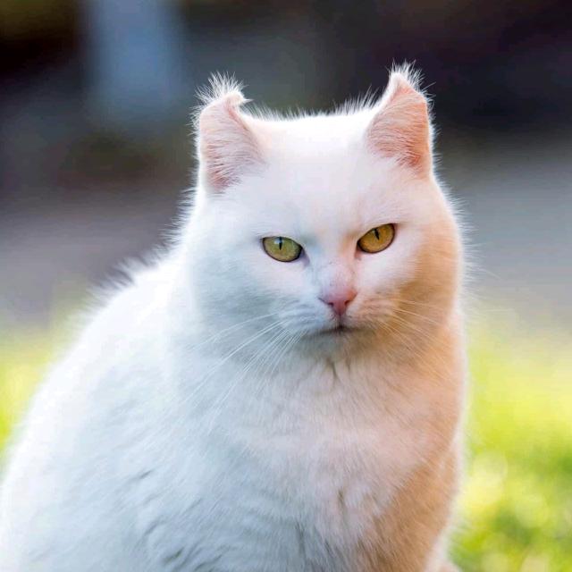 用户2、'503262865571迷