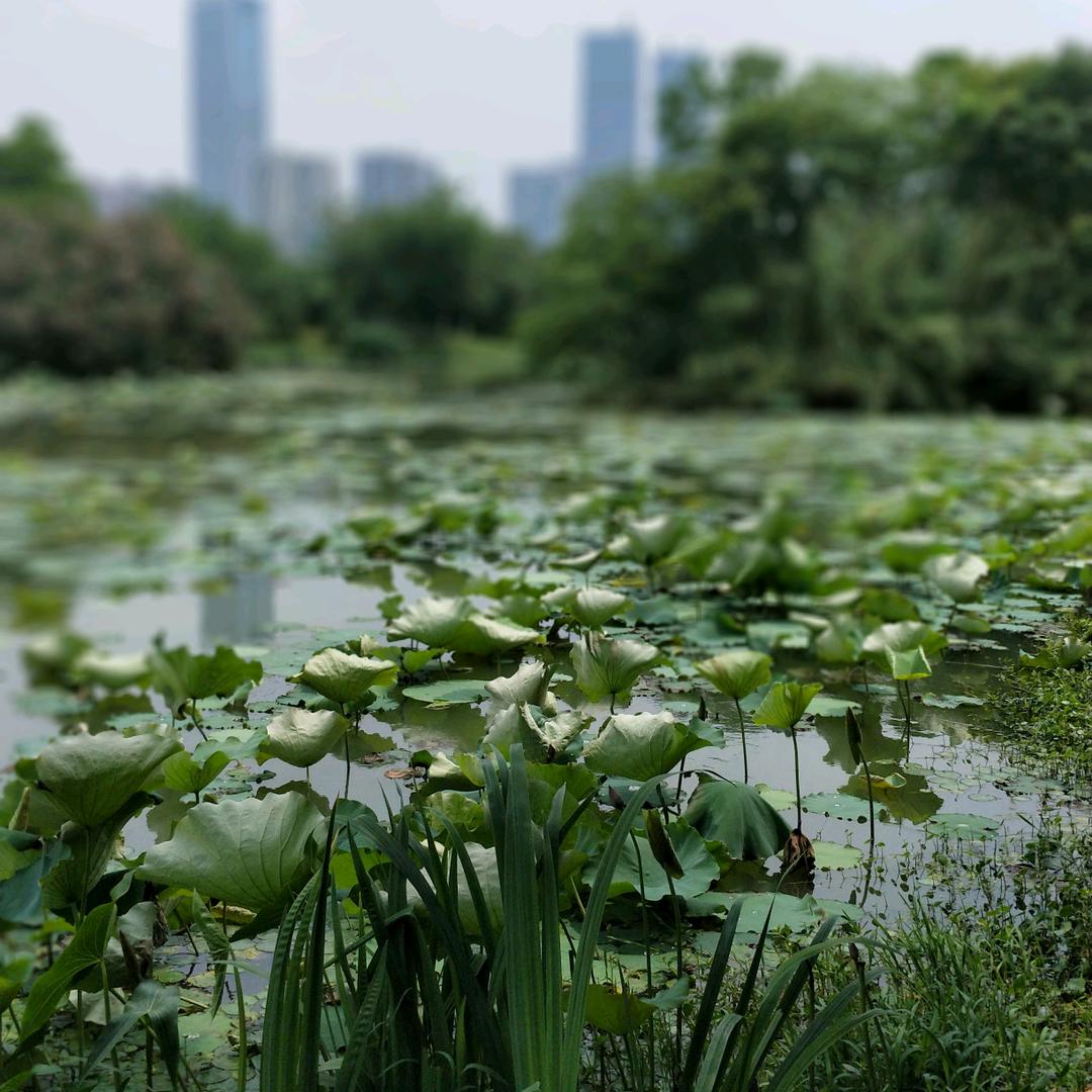长三角，太湖旁