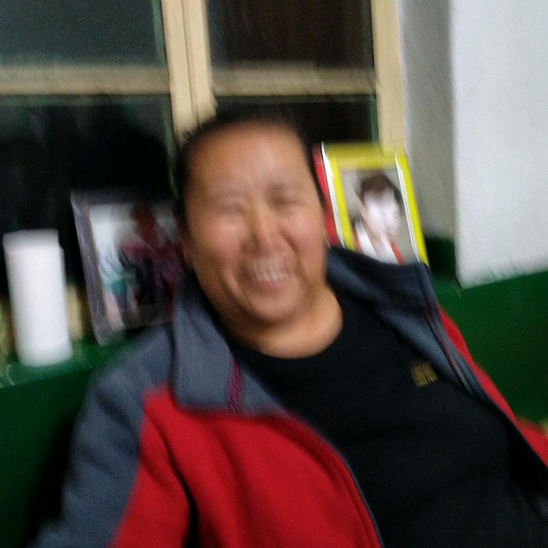 锦梅