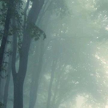 絮