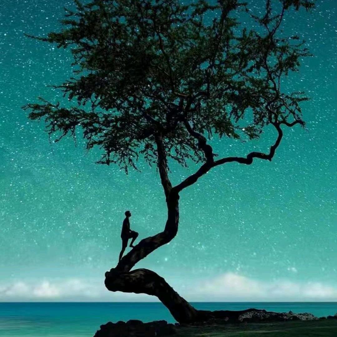 茶大姐