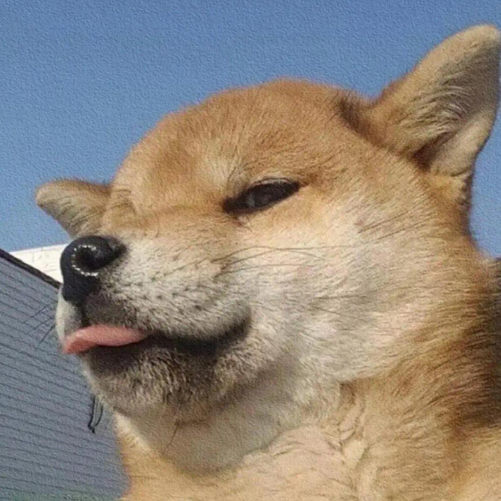 悸号🩴⁰⁴⁷