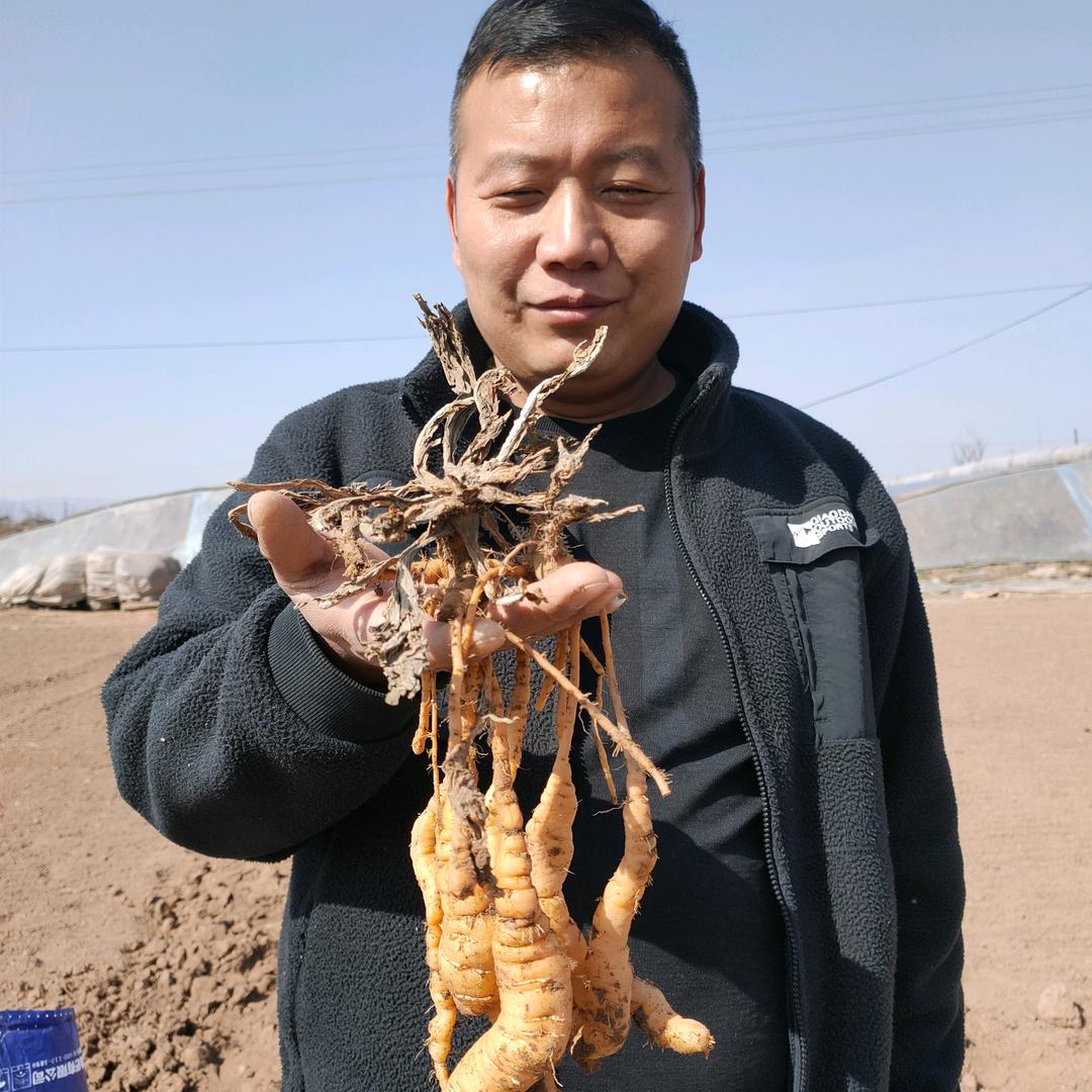 简简单单