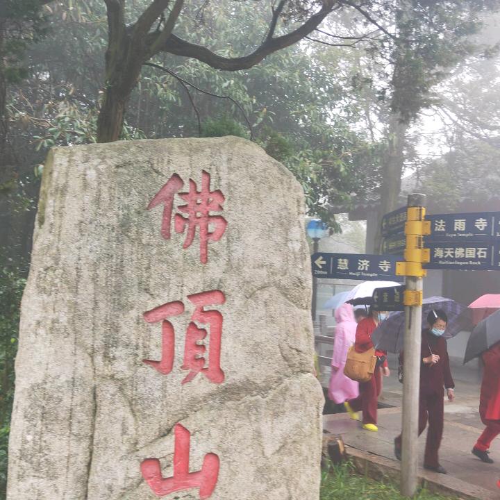 用户石头岛；岛主