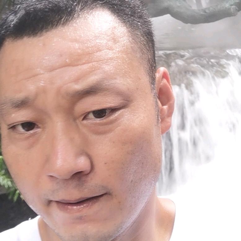 曹豹