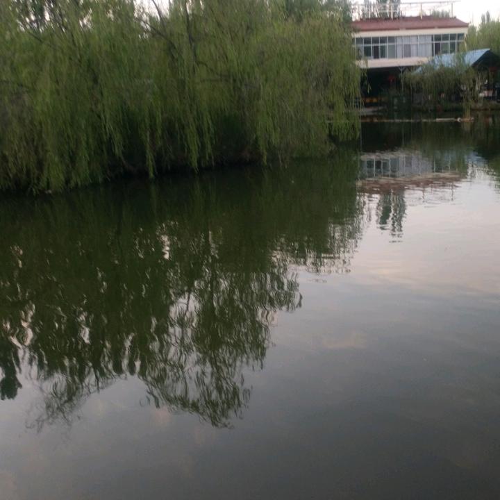 黄姐