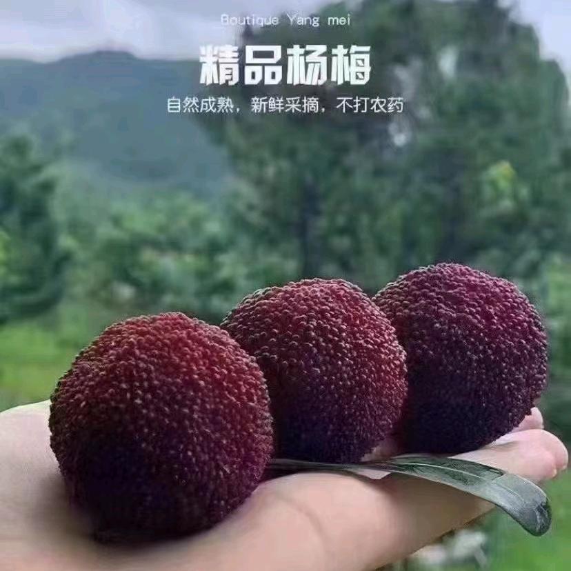 仙居县云雷农场