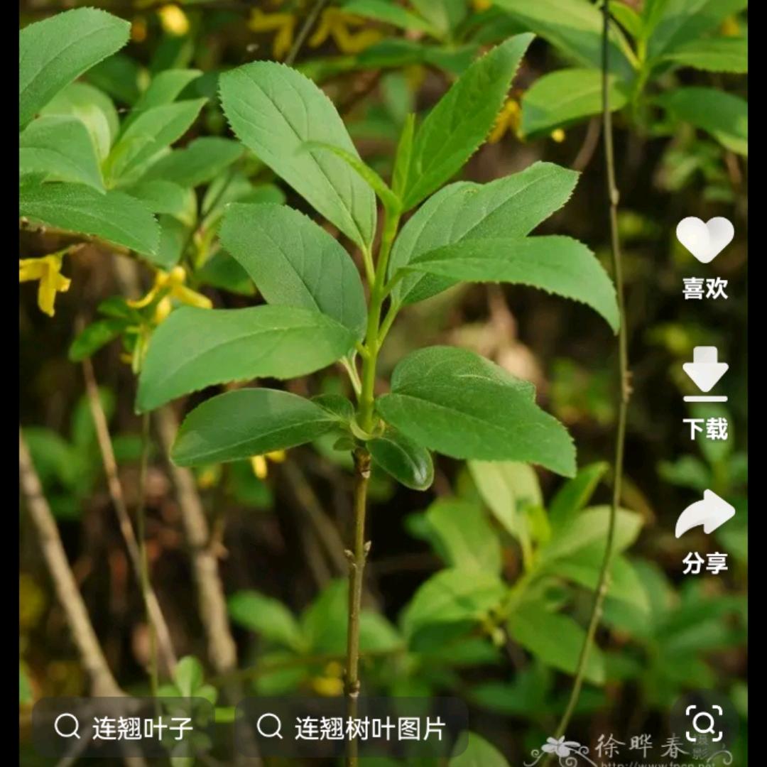 我的人生经历太多