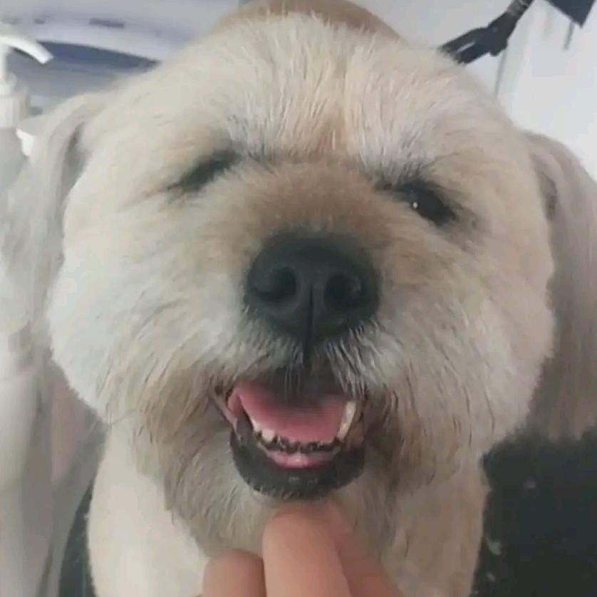 丫宝儿和子玺的故事