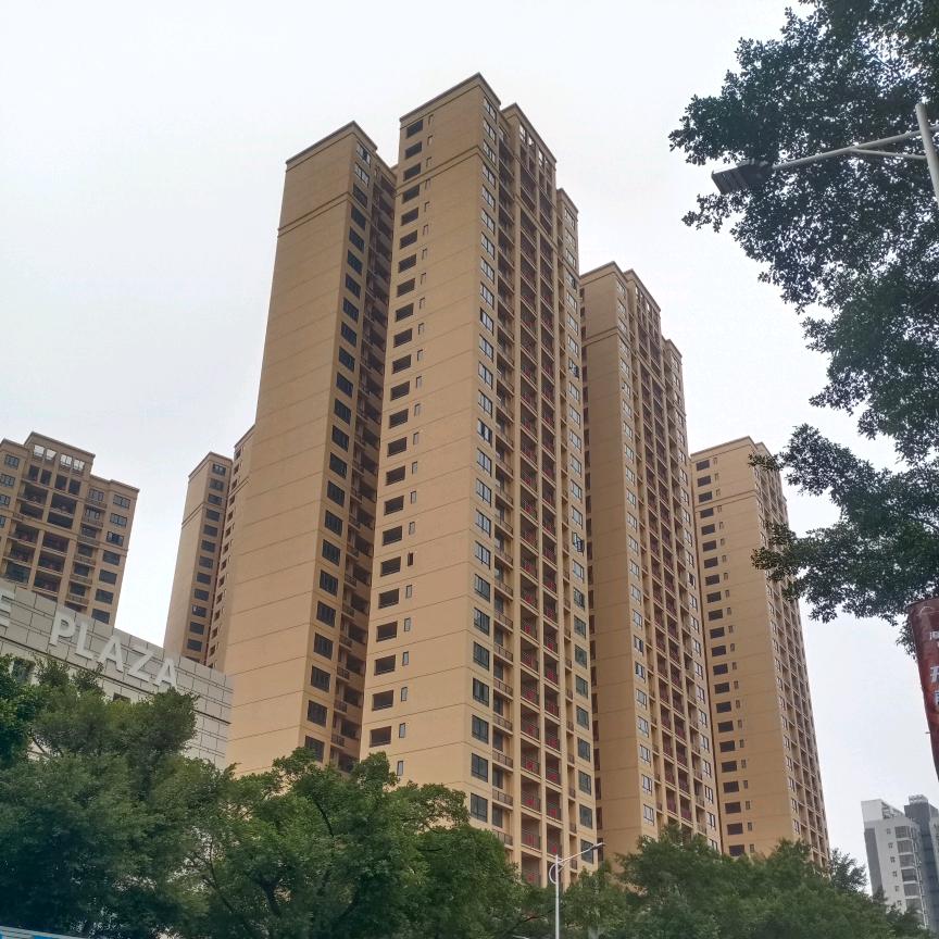 开心果