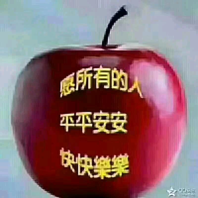 我不懂