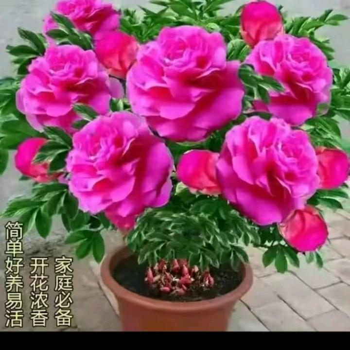 用户2227200083955