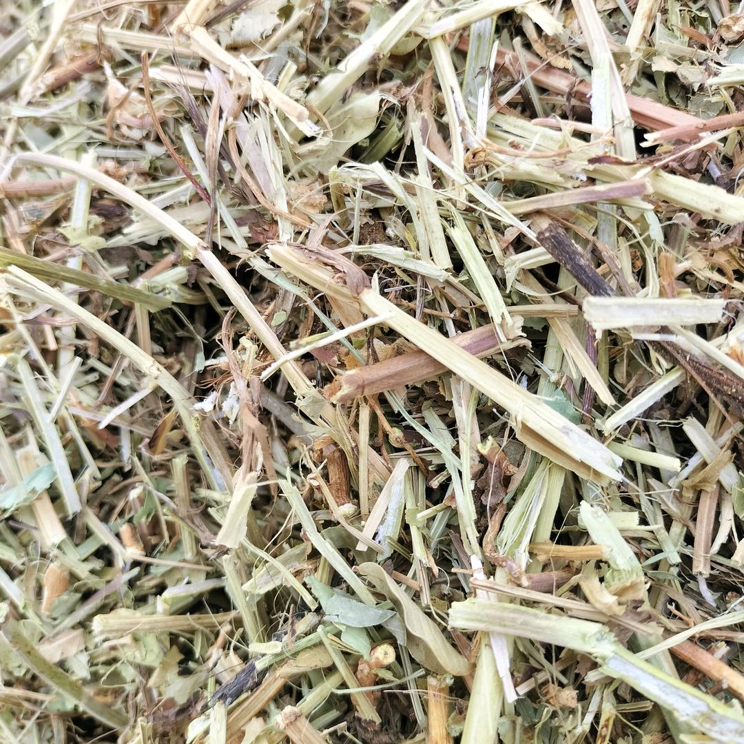 泌阳县李刚花生草，麦秸草，养殖业合作社