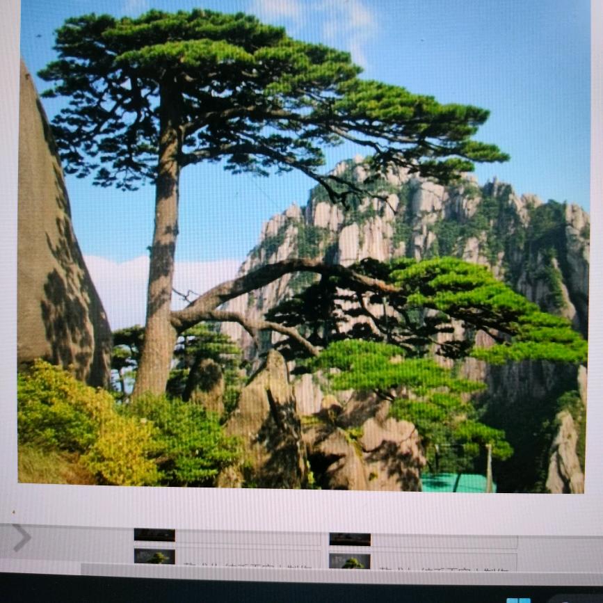 天下朋友