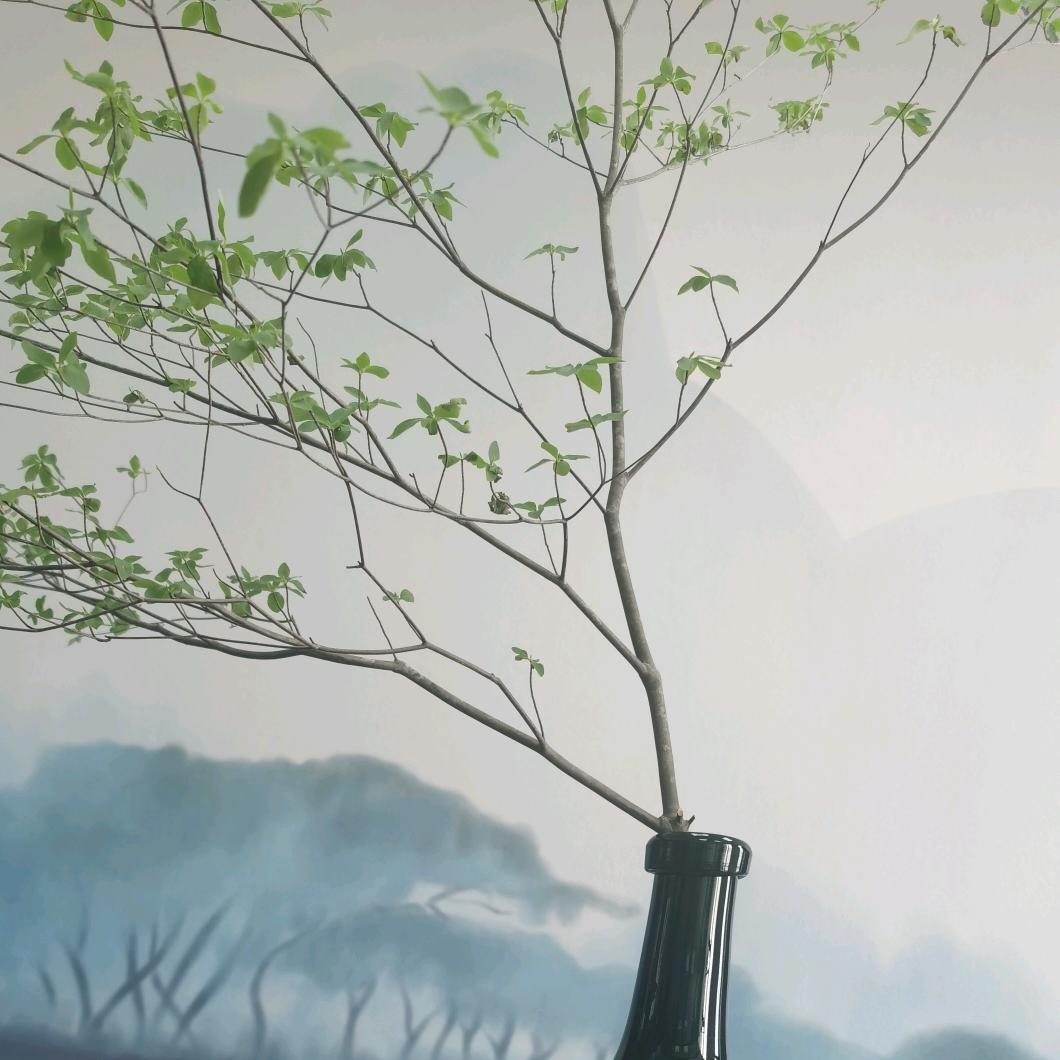 你好我好大家好👍