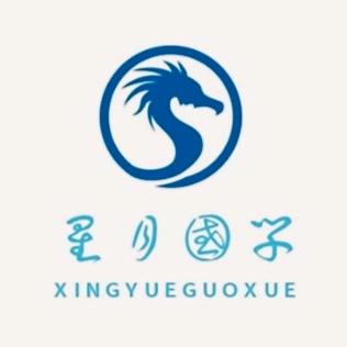 星月~人民健康系统工程