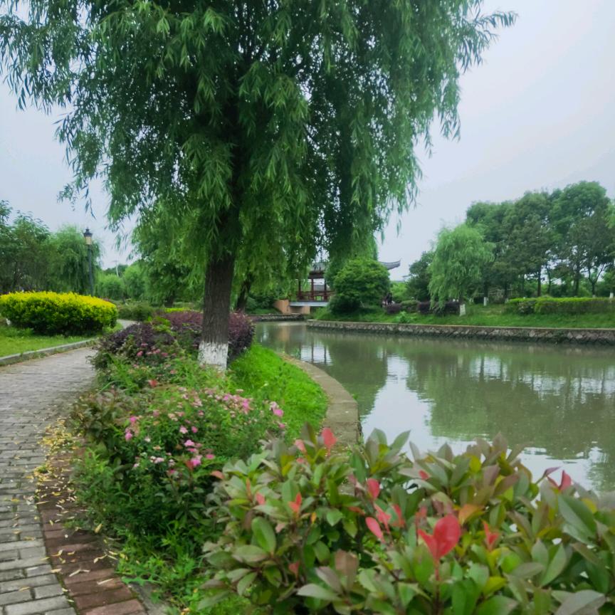 看透一切的阴霾