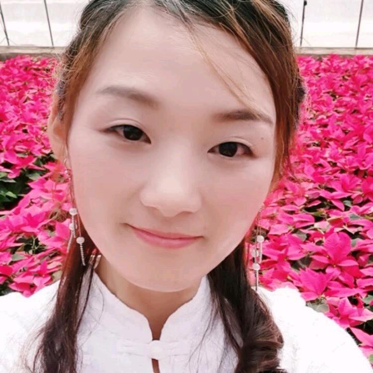 春天花卉种子园艺