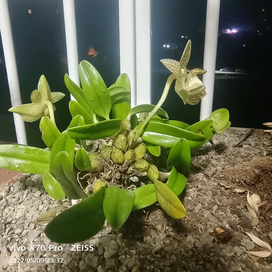 相信自己