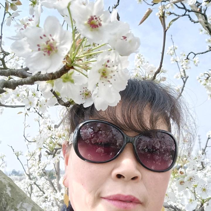 。。肖姐